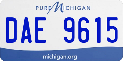 MI license plate DAE9615