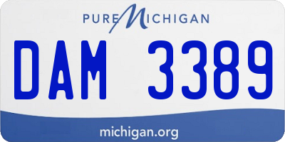 MI license plate DAM3389