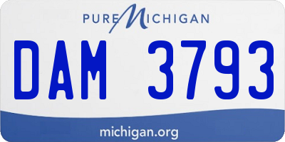 MI license plate DAM3793