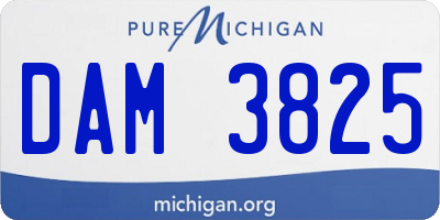 MI license plate DAM3825