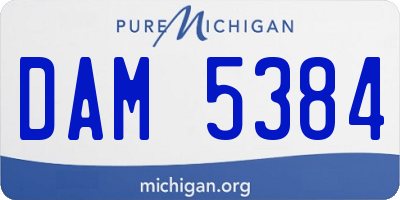 MI license plate DAM5384