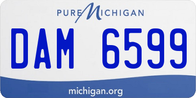 MI license plate DAM6599