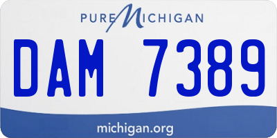 MI license plate DAM7389