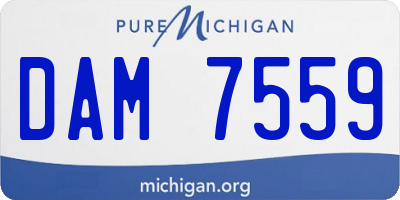 MI license plate DAM7559