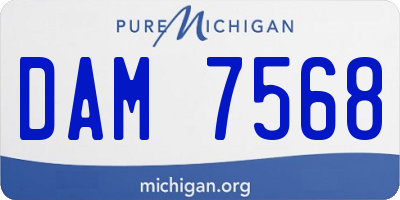 MI license plate DAM7568