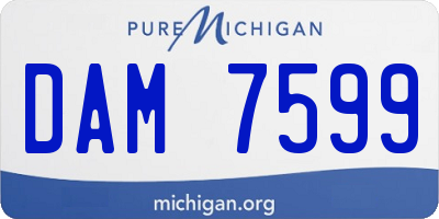 MI license plate DAM7599