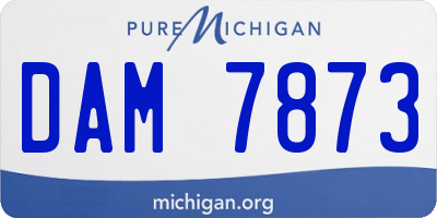 MI license plate DAM7873