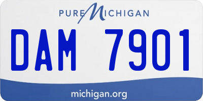 MI license plate DAM7901