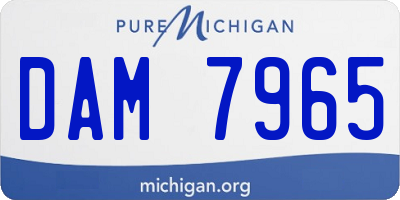 MI license plate DAM7965