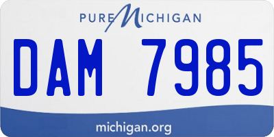 MI license plate DAM7985