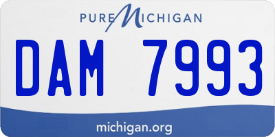 MI license plate DAM7993