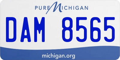 MI license plate DAM8565
