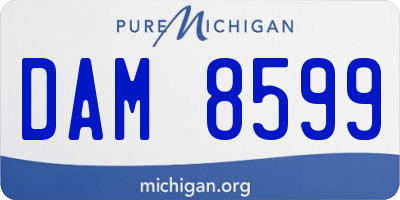 MI license plate DAM8599