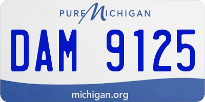 MI license plate DAM9125