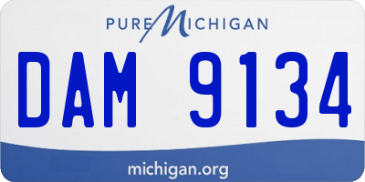 MI license plate DAM9134
