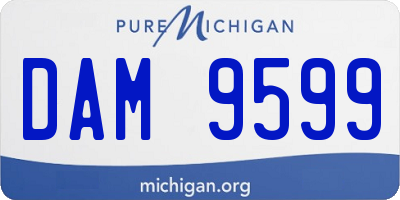 MI license plate DAM9599
