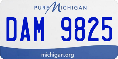 MI license plate DAM9825