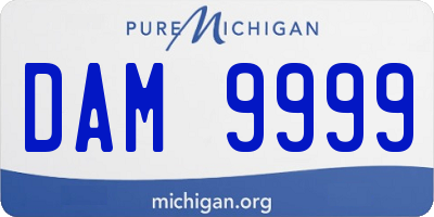 MI license plate DAM9999