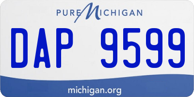 MI license plate DAP9599