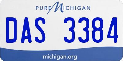MI license plate DAS3384