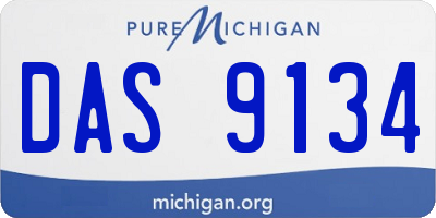 MI license plate DAS9134