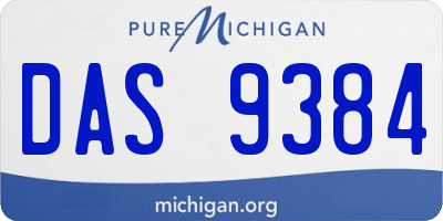 MI license plate DAS9384