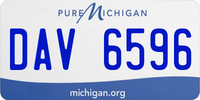 MI license plate DAV6596