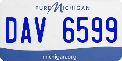 MI license plate DAV6599