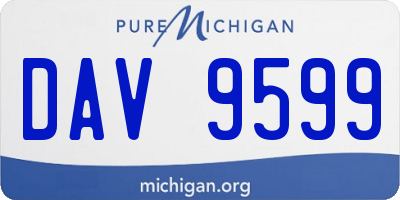 MI license plate DAV9599