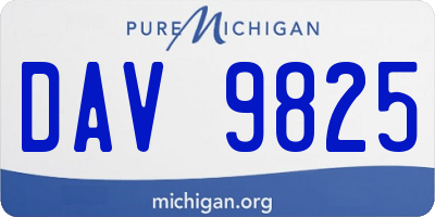 MI license plate DAV9825