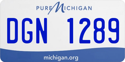 MI license plate DGN1289