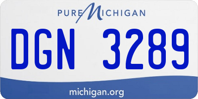 MI license plate DGN3289