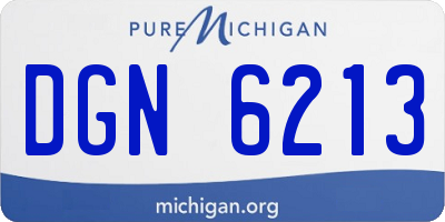 MI license plate DGN6213