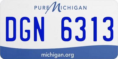 MI license plate DGN6313