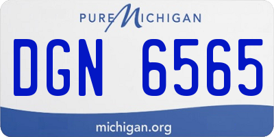 MI license plate DGN6565