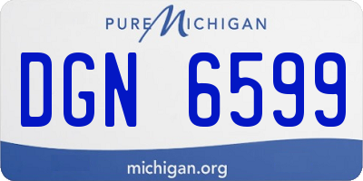 MI license plate DGN6599