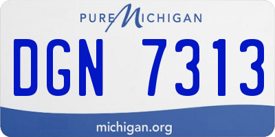 MI license plate DGN7313