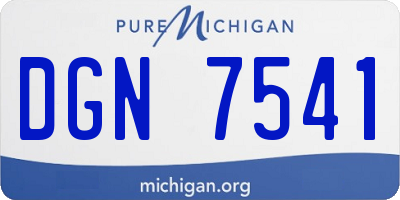 MI license plate DGN7541