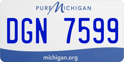 MI license plate DGN7599