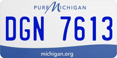 MI license plate DGN7613