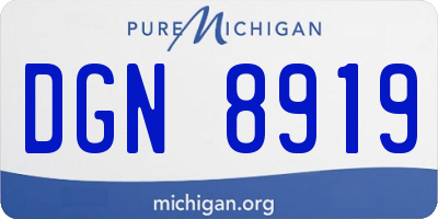 MI license plate DGN8919