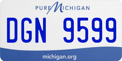 MI license plate DGN9599