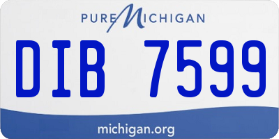 MI license plate DIB7599