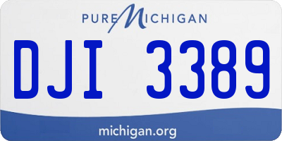 MI license plate DJI3389