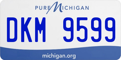 MI license plate DKM9599