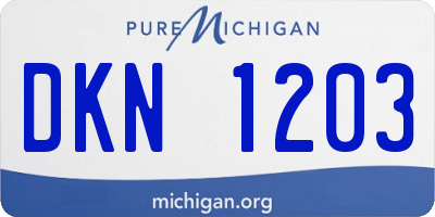 MI license plate DKN1203