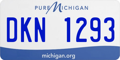 MI license plate DKN1293