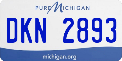 MI license plate DKN2893