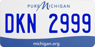 MI license plate DKN2999
