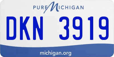 MI license plate DKN3919
